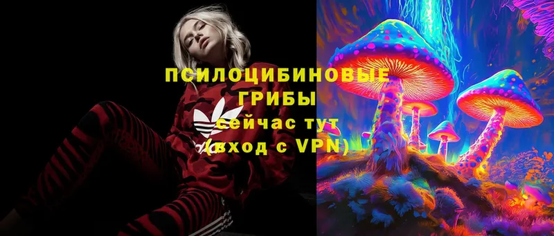 Псилоцибиновые грибы MAGIC MUSHROOMS  наркота  кракен рабочий сайт  Владикавказ 